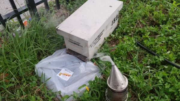 20160824_193537.jpg