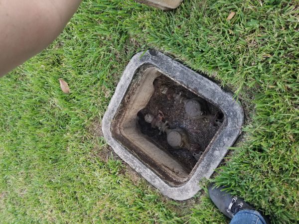 20160902_185027.jpg
