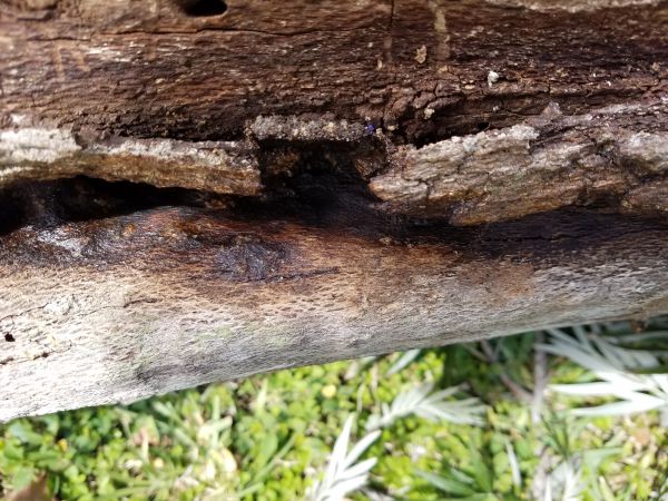 20170320_151406.jpg