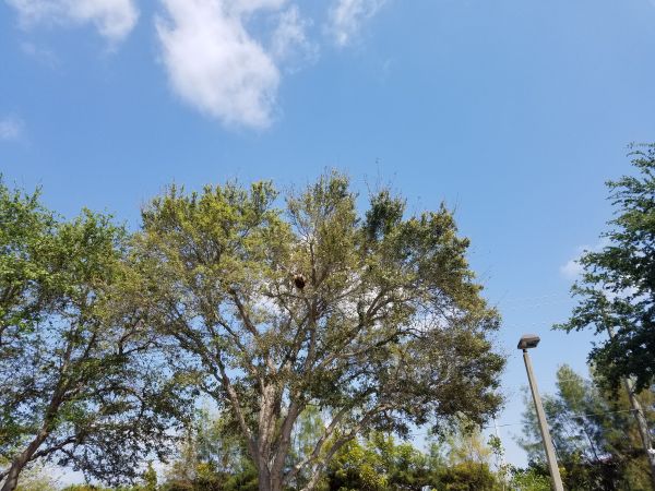 20170404_120555.jpg