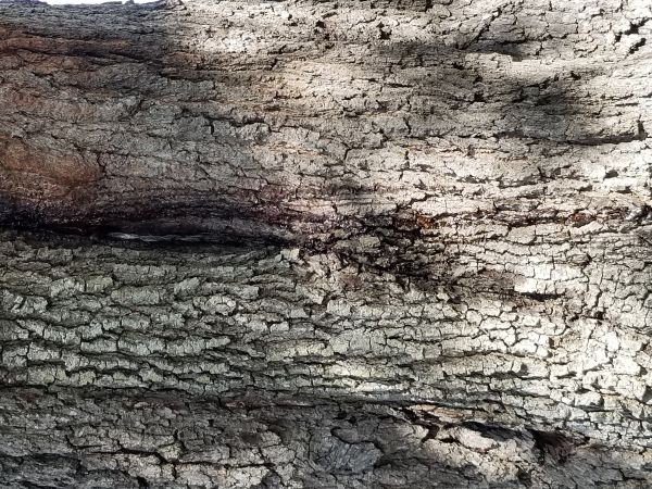 20171128_131911.jpg