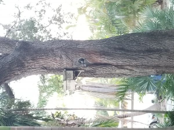 20171206_172736.jpg