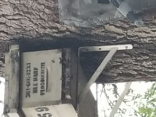20171206_172859.jpg