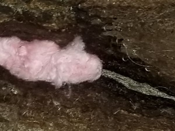20171206_180032.jpg