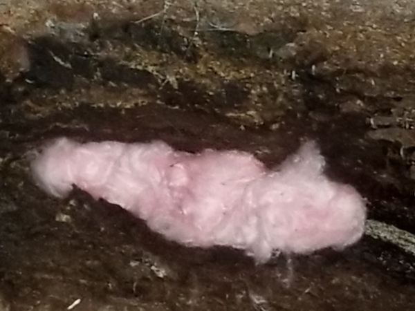20171206_180036.jpg