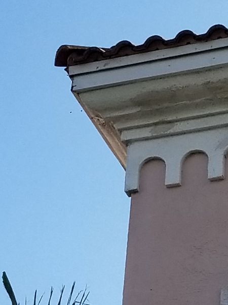 20171222_150241.jpg