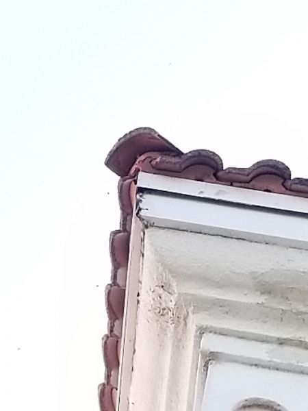 20171222_150314.jpg