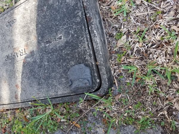20180212_160823.jpg