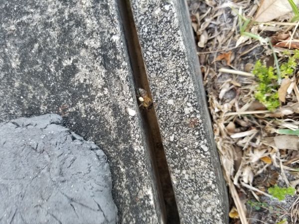 20180212_160826.jpg