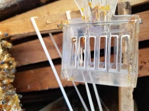 20180215_073204.jpg