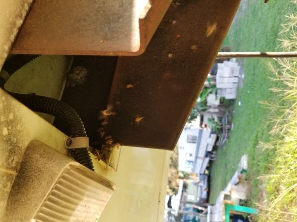 20180216_173417.jpg