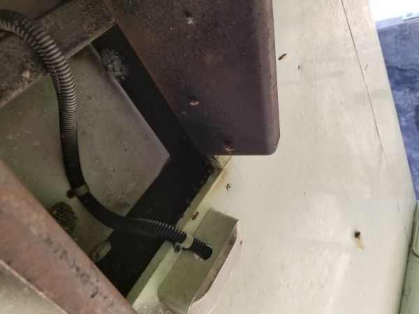 20180216_173431.jpg