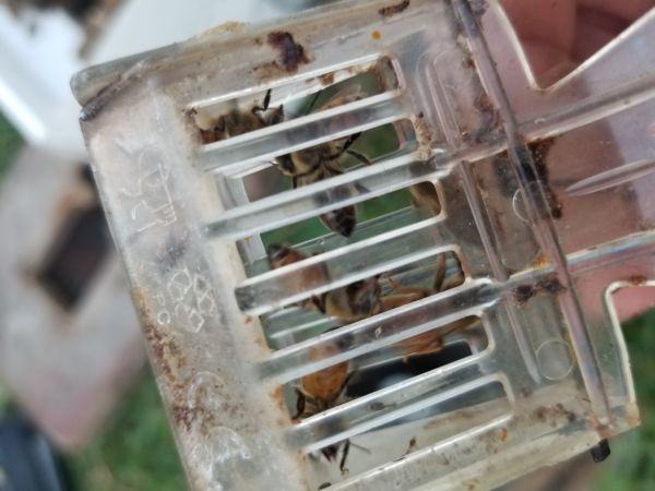 20180220_180740.jpg