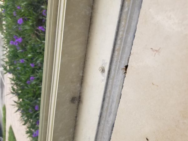 20180226_131242.jpg
