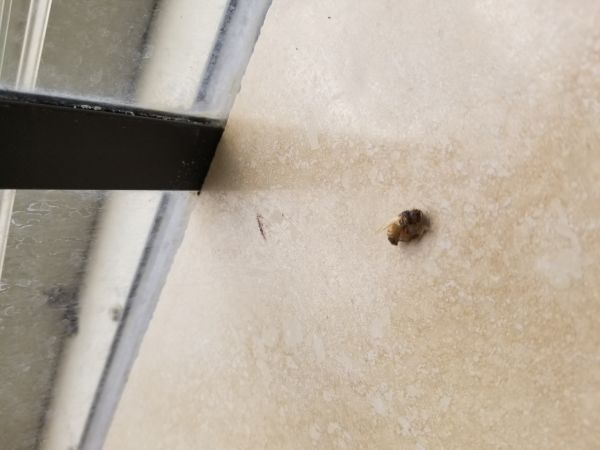 20180226_131246.jpg
