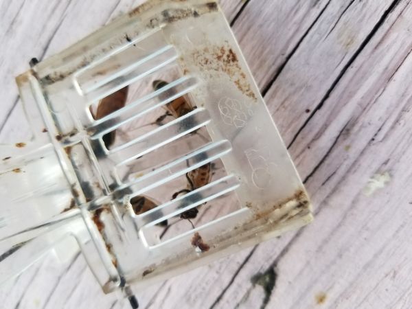 20180227_181616.jpg