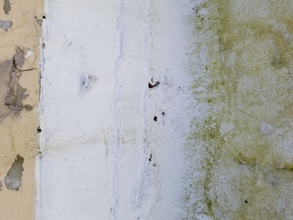 20180302_121502.jpg