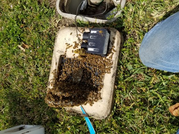 20180306_123552.jpg