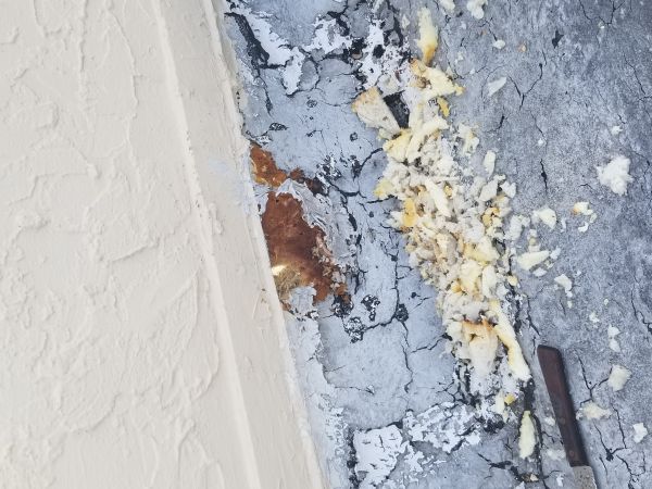 20180307_170553.jpg