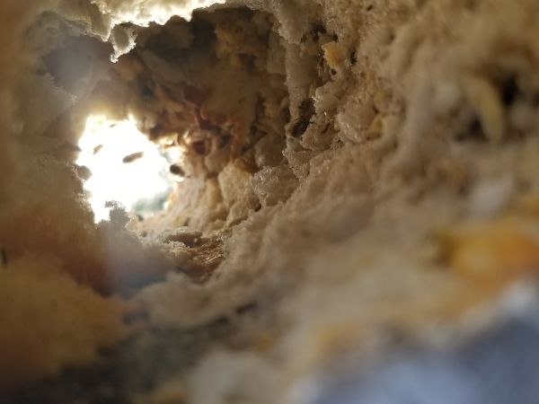 20180307_170641.jpg