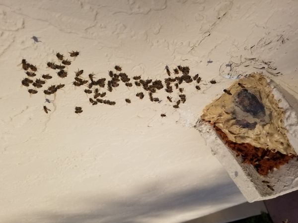 20180307_173216.jpg