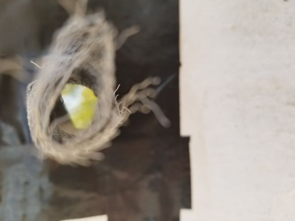 20180307_174913.jpg