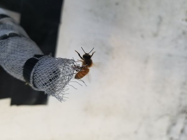 20180307_180012.jpg