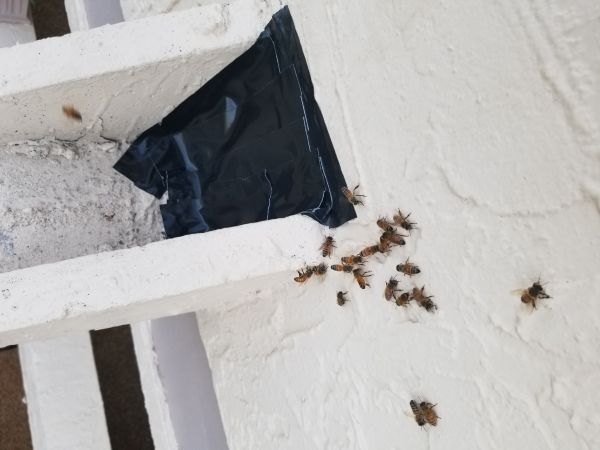 20180307_180219.jpg