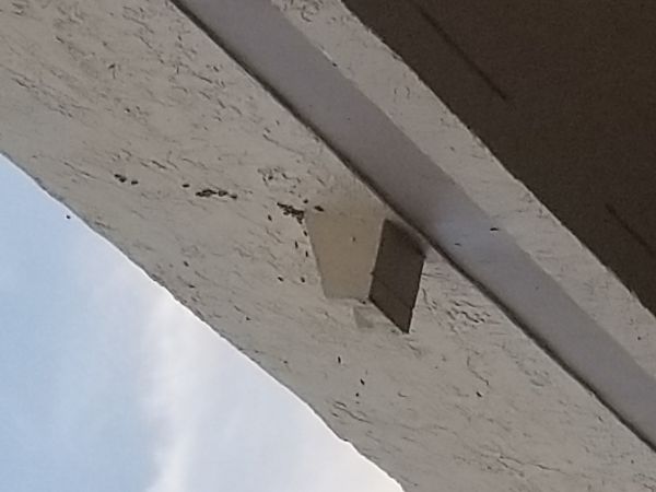 20180307_180934.jpg