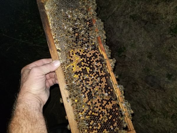 20180307_193036.jpg