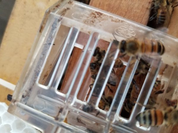20180308_183112.jpg