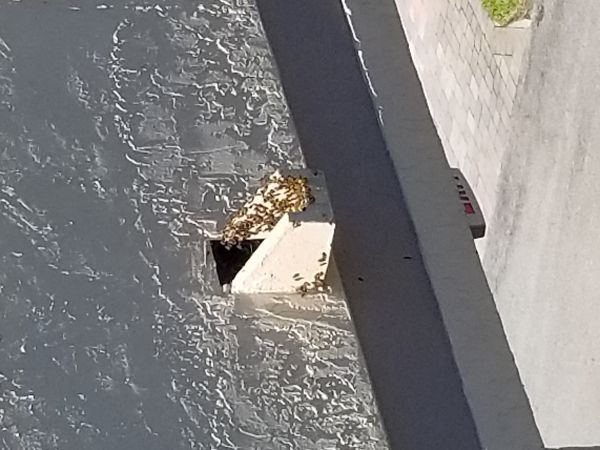 20180309_122851.jpg