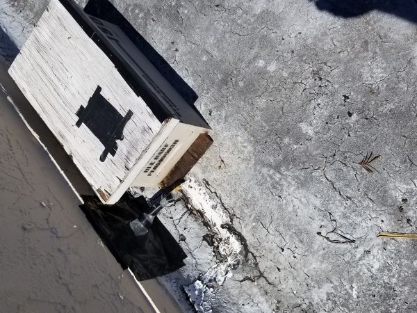 20180309_123308.jpg