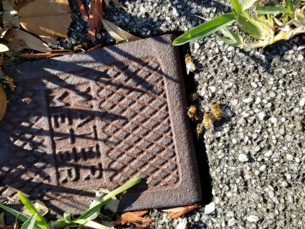 20180309_164305.jpg