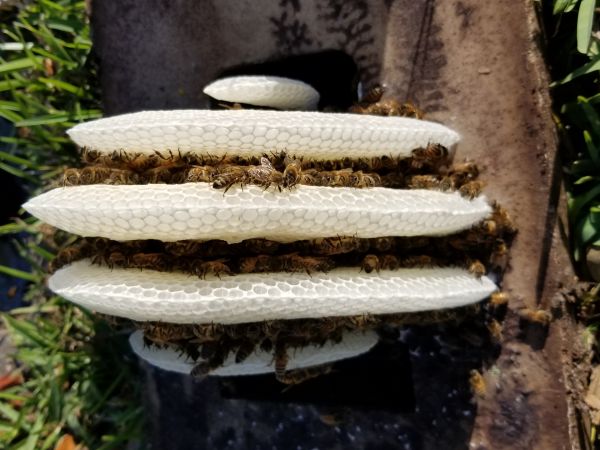20180309_164642.jpg