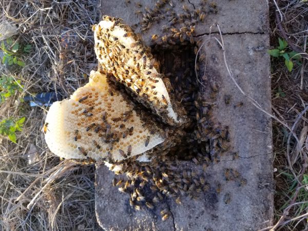 20180309_180247.jpg