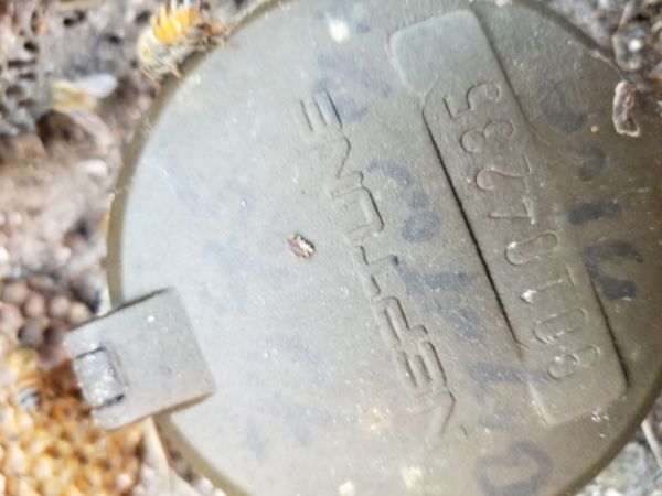 20180309_180340.jpg
