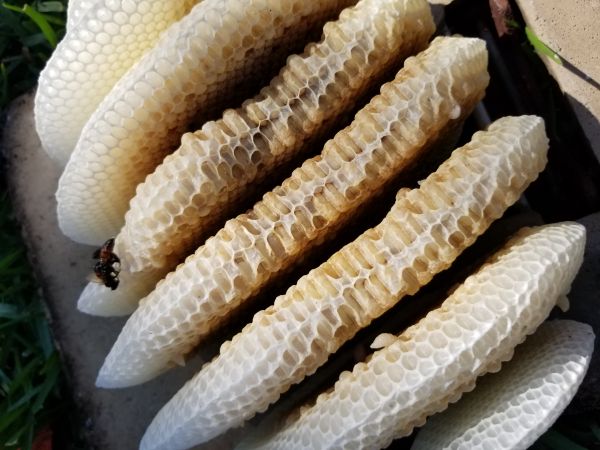 20180312_151827.jpg