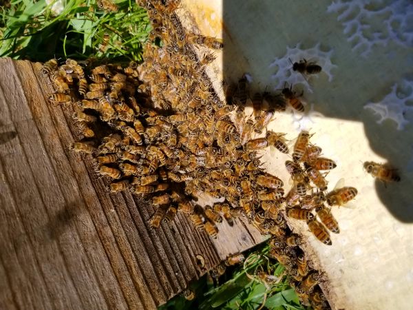20180316_130721.jpg