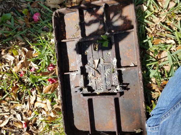 20180316_153647.jpg