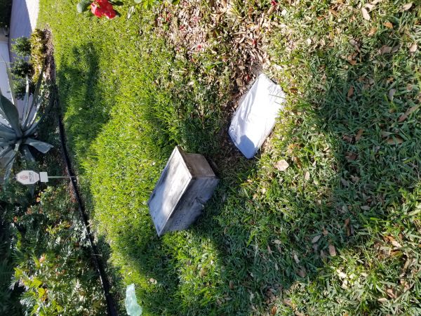 20180316_154042.jpg