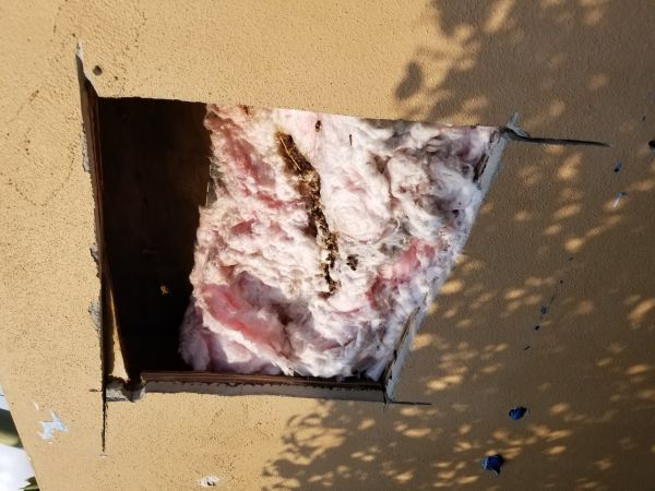 20180319_173250.jpg
