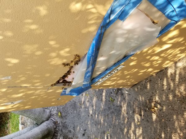 20180319_173301.jpg