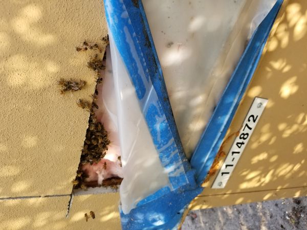 20180319_173308.jpg