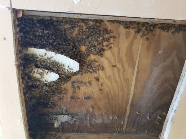20180321_092415.jpg