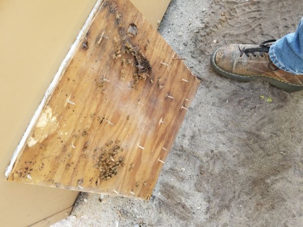 20180321_092427.jpg