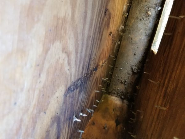 20180321_095743.jpg
