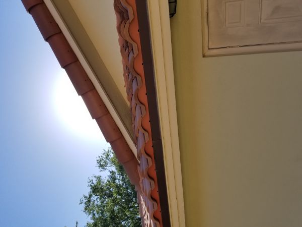 20180321_171812.jpg
