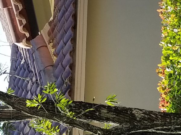 20180321_172601.jpg