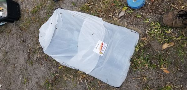 20180328_120914.jpg